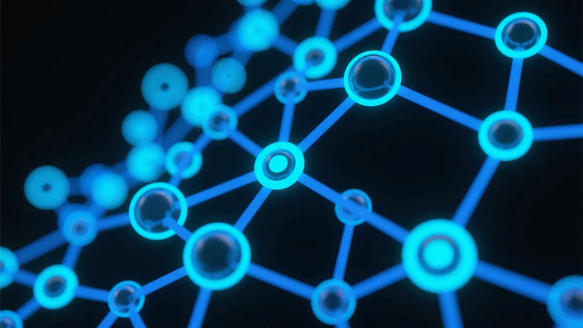Data Network